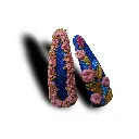 Untitled design (5).webp