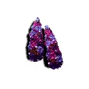 Your paragraph text (3).webp